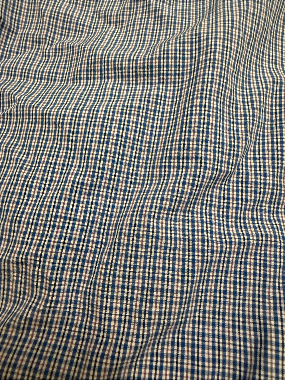 Polo by Ralph Lauren Blue Micro-Check Button-Down Shirt - Picture 4 of 4